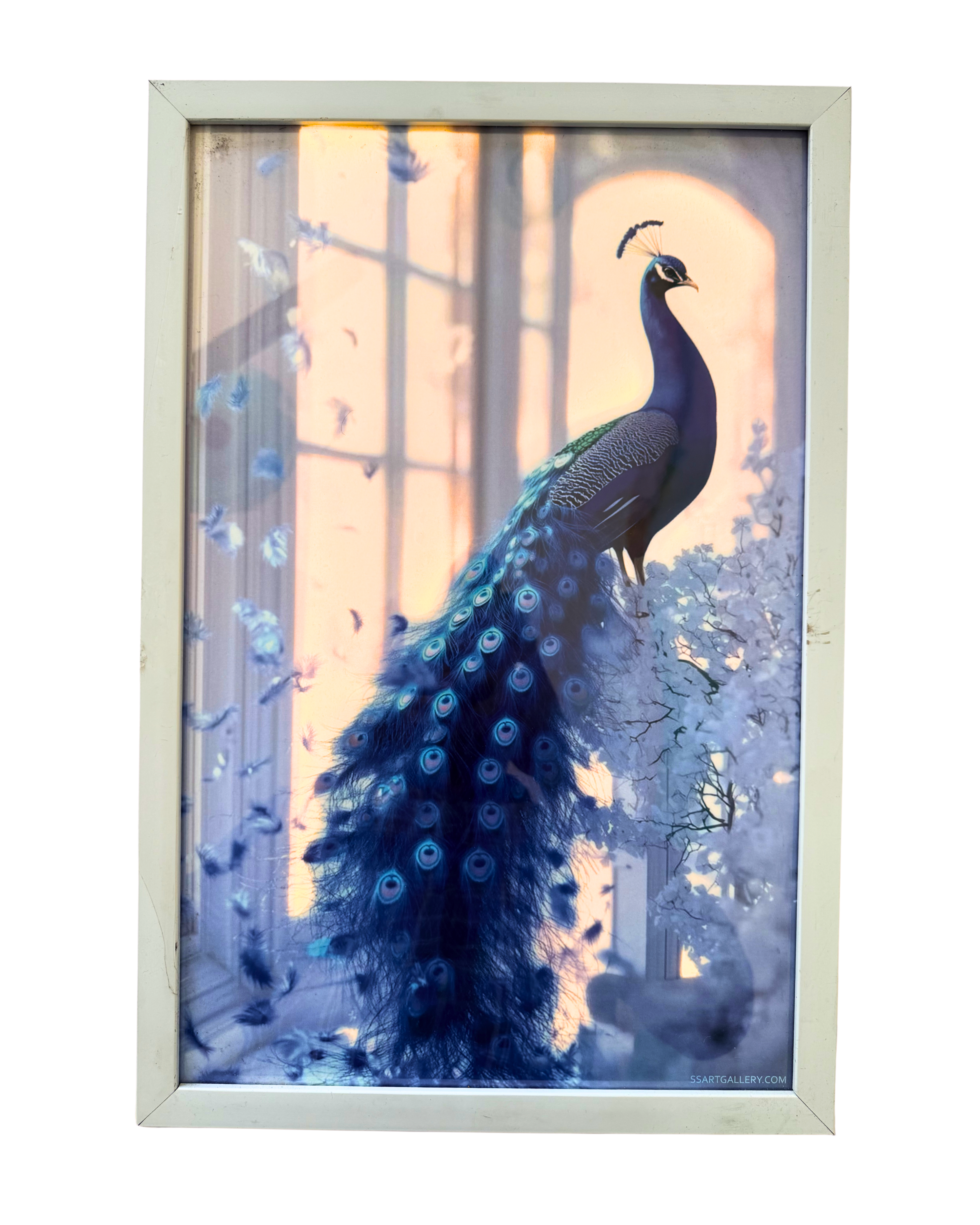Framed Peacock Wall Art, Blue Peacock with Feathers, Dreamy Ethereal Style, White Frame