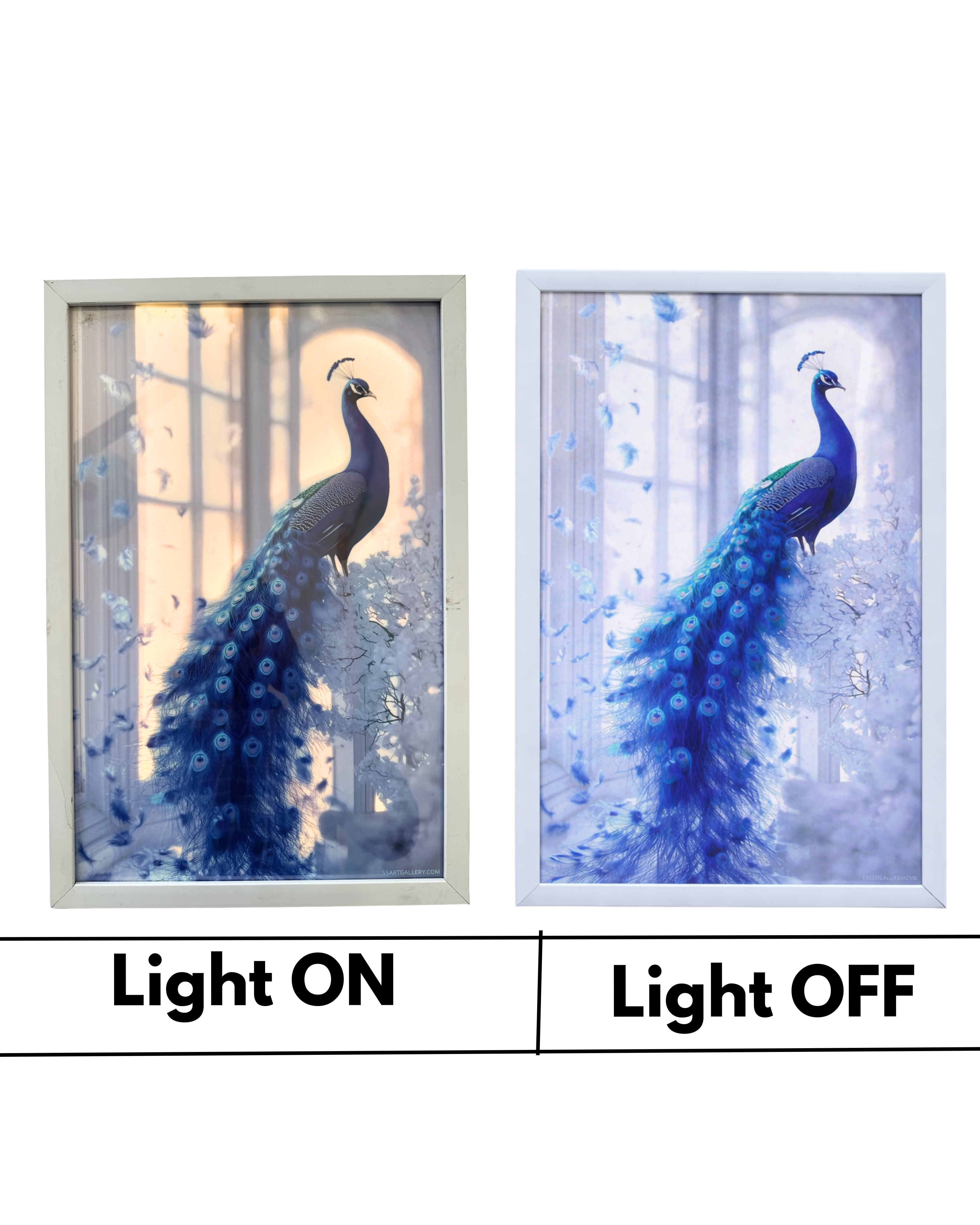 Framed Peacock Wall Art, Blue Peacock with Feathers, Dreamy Ethereal Style, White Frame